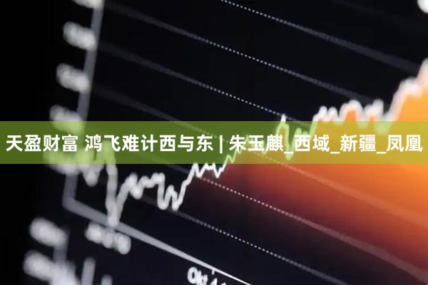 天盈财富 鸿飞难计西与东 | 朱玉麒_西域_新疆_凤凰