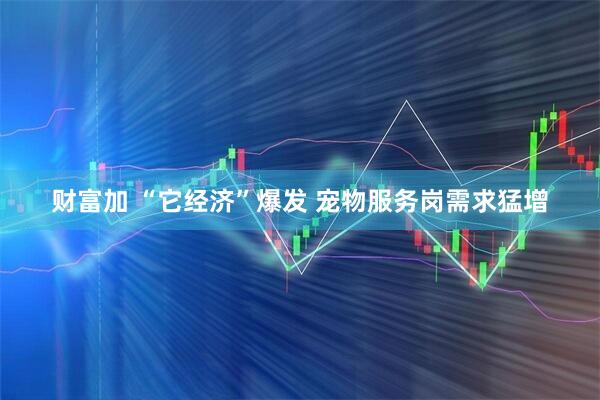 财富加 “它经济”爆发 宠物服务岗需求猛增