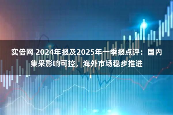 实倍网 2024年报及2025年一季报点评：国内集采影响可控，海外市场稳步推进