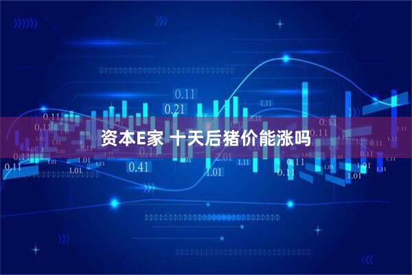 资本E家 十天后猪价能涨吗